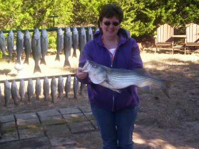 Lake Texoma striper fishing report