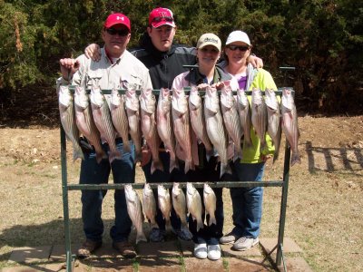 Lake Texoma striper fishing report