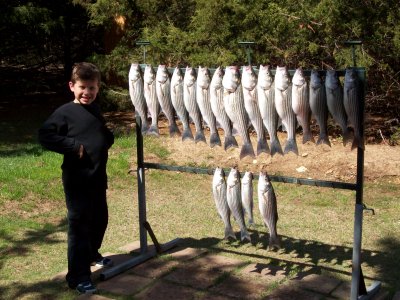 Lake Texoma striper fishing report