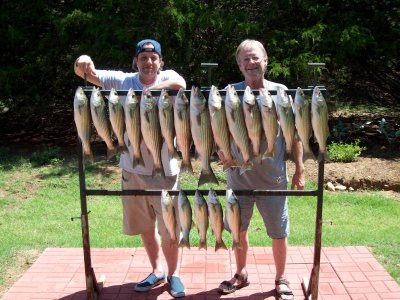 Lake Texoma striper fishing report