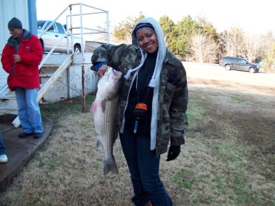 Lake Texoma striper fishing report