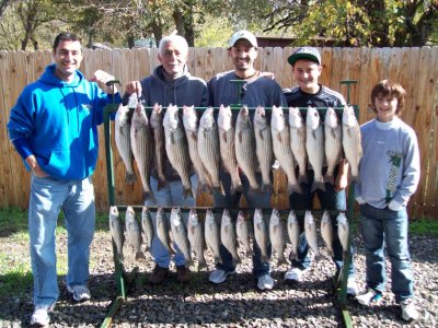 Lake Texoma striper fishing report