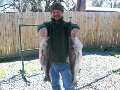 Lake Texoma striper fishing report