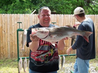 Lake Texoma striper fishing report