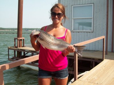 Lake Texoma striper fishing report