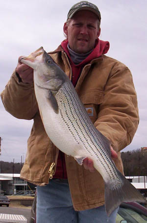 Doug Keeter Lake Texoma Striper Fishing Guide 
